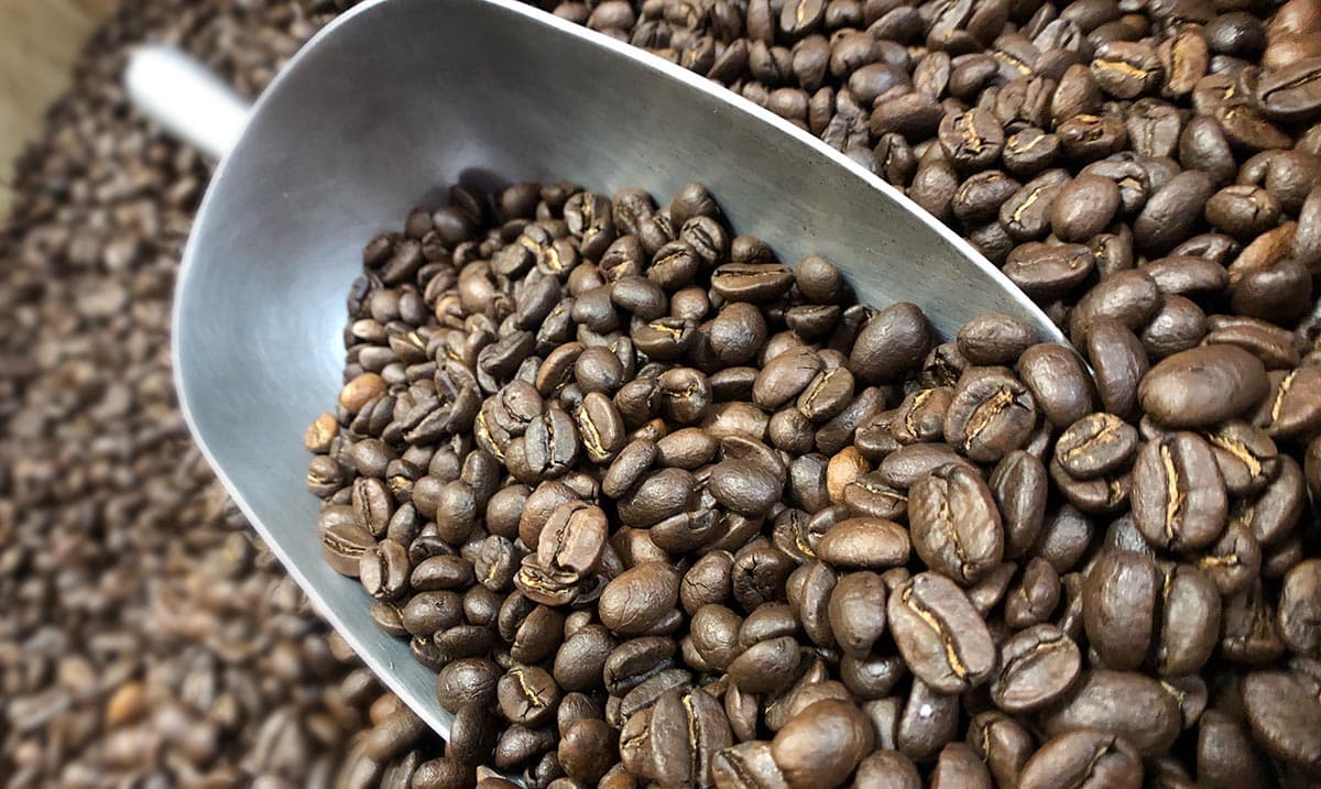 A scoop resting in a burlap sack of fresh coffee beans at the Lakewood shop
